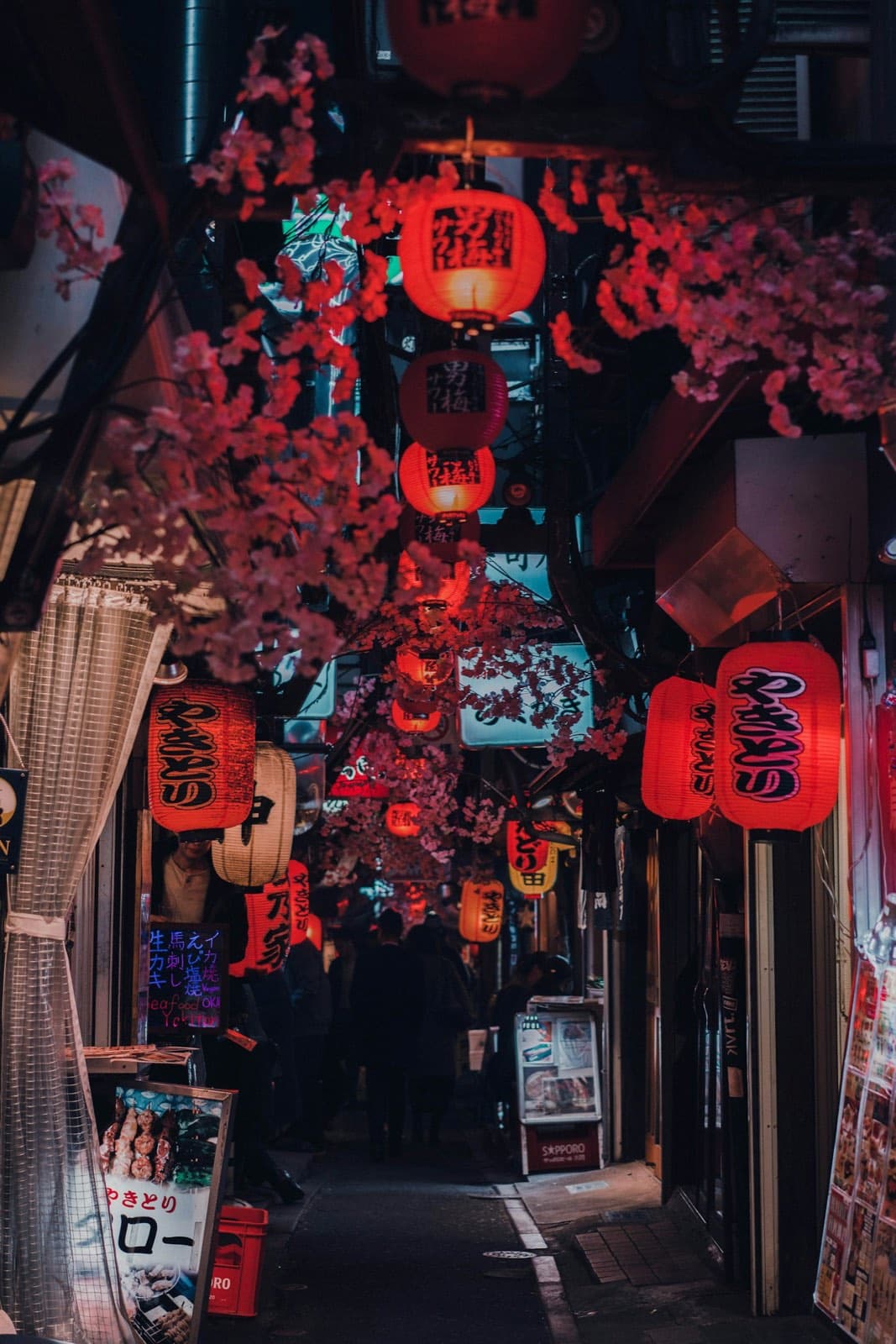 朱の提灯と桜が灯る、夕暮れの小路